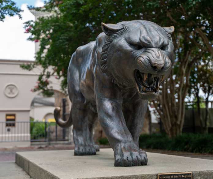 2019 LSU Tigers
