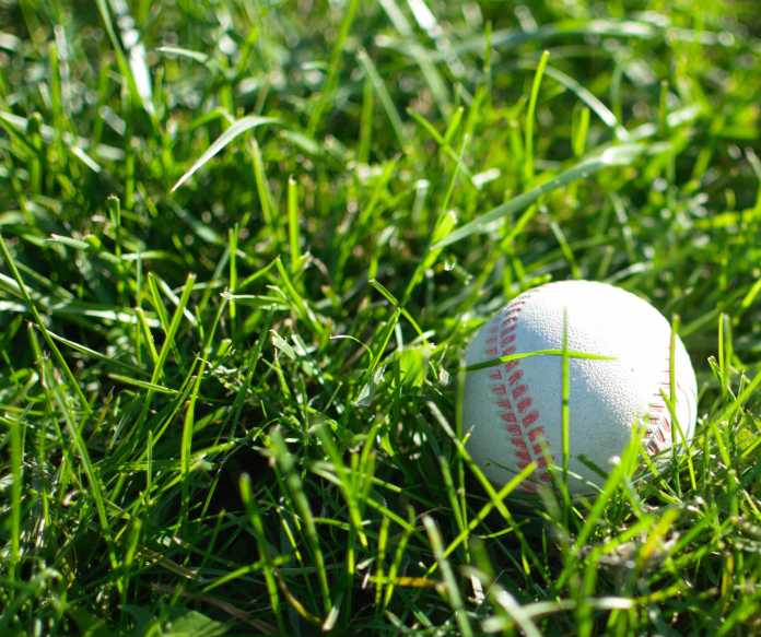 Florida high school softball