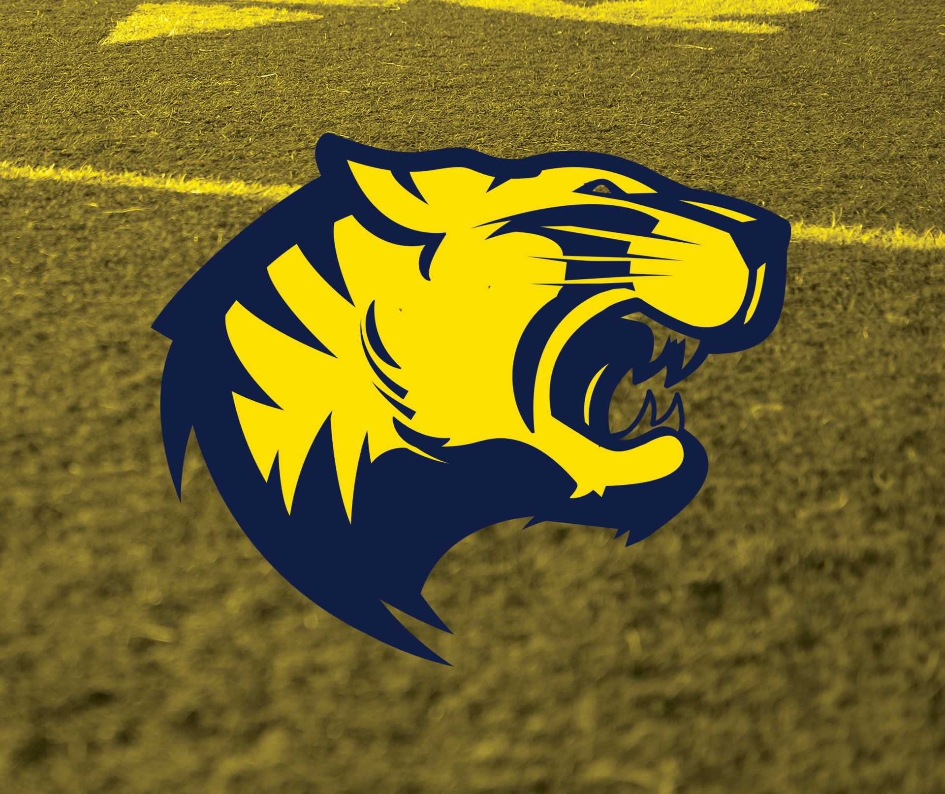 4 Questions With Troup County Football Coach Tanner Glisson - ITG Next