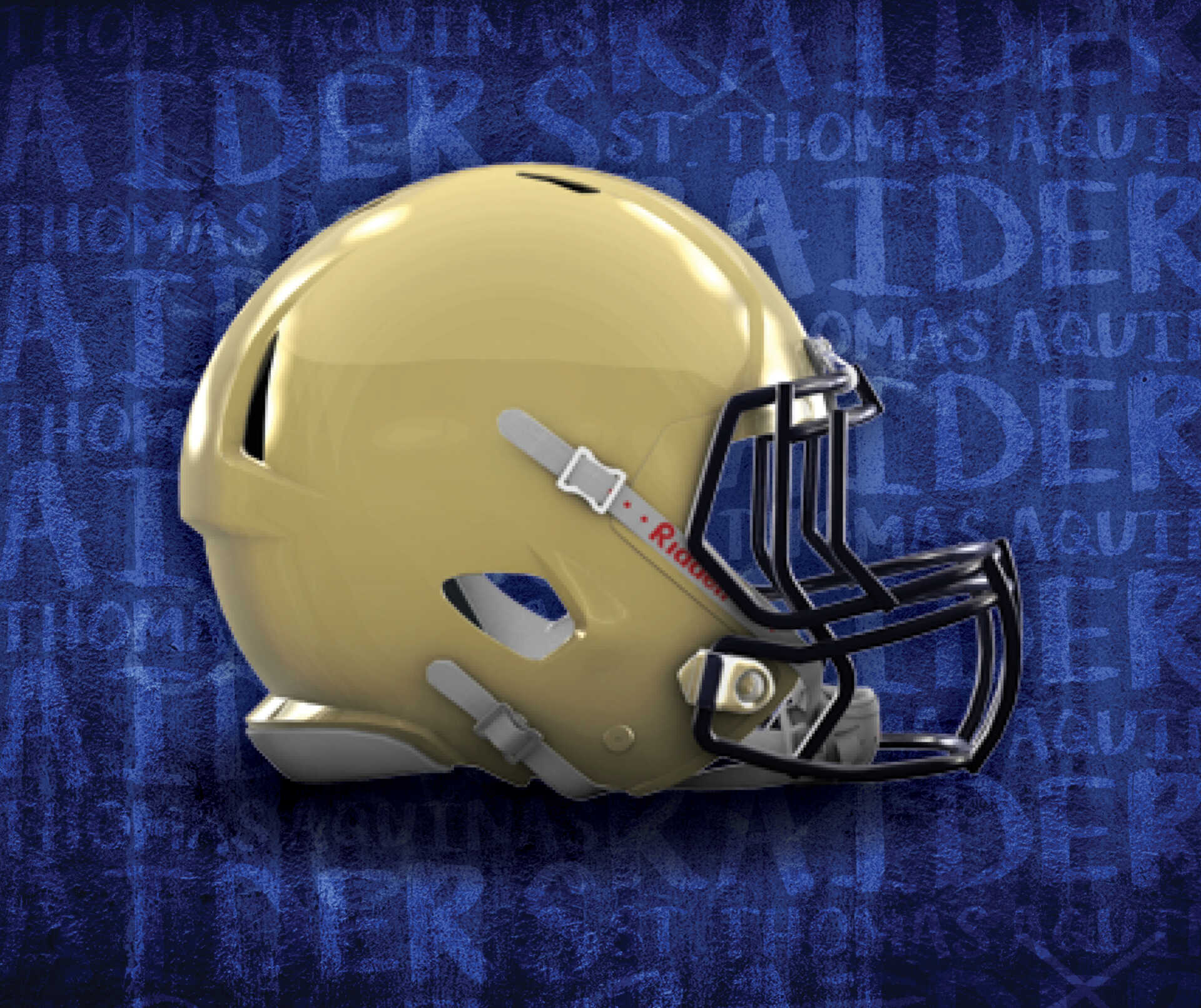 St Thomas Aquinas Football 2023