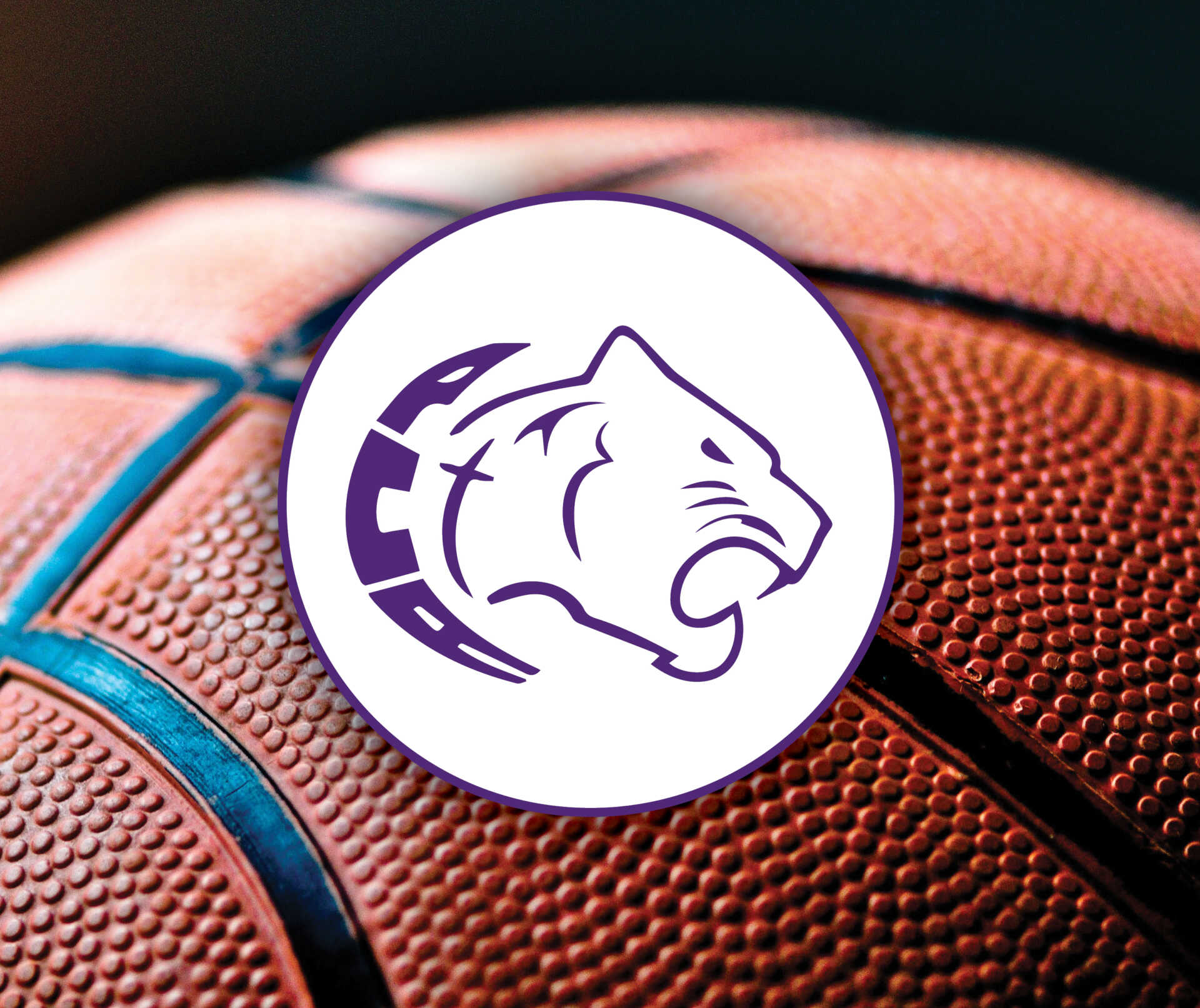 4 Questions with Prattville Christian Basketball Coach Jason Roberson ...