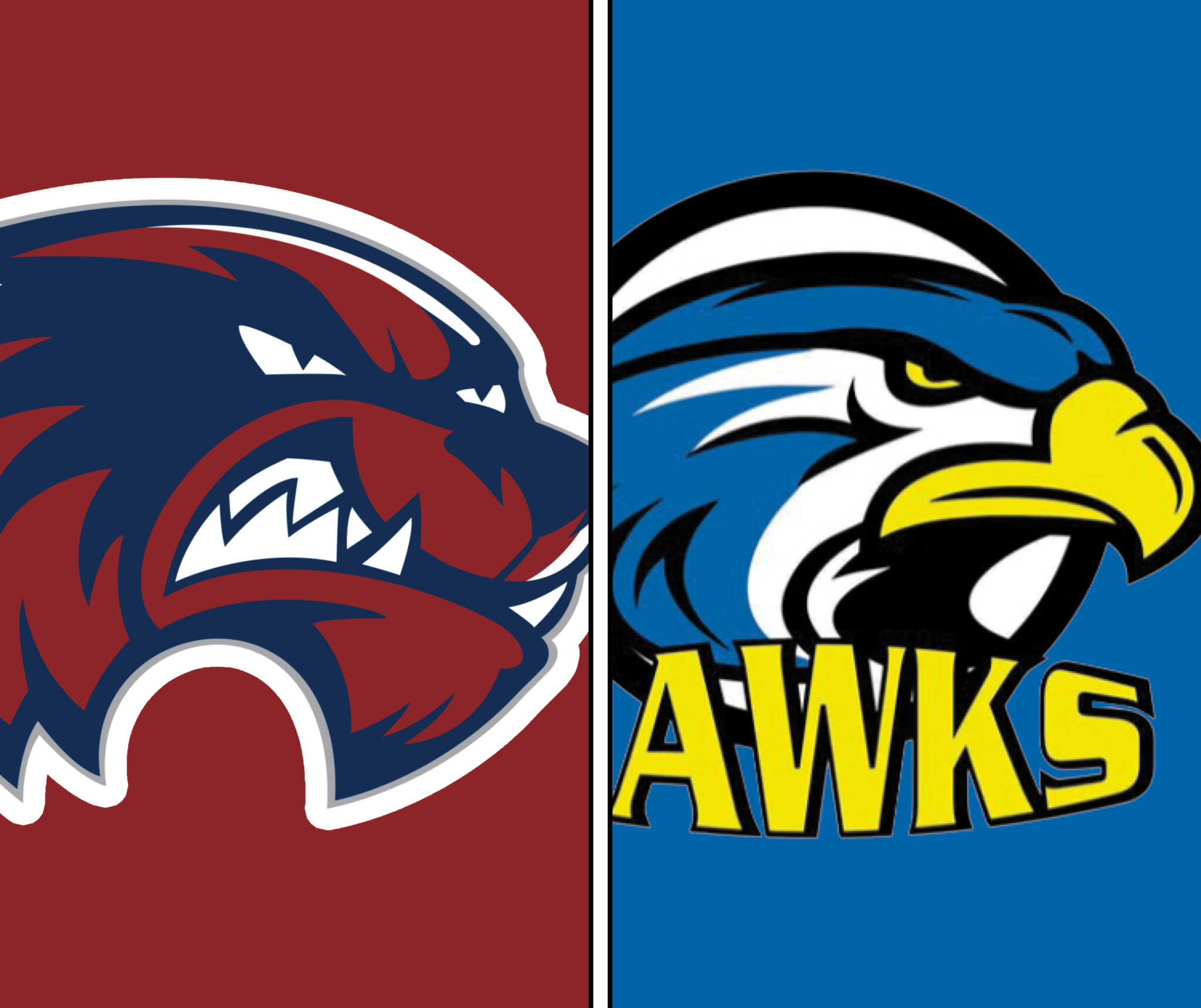 Woodstock, CentralTalbotton End Long High School Losing