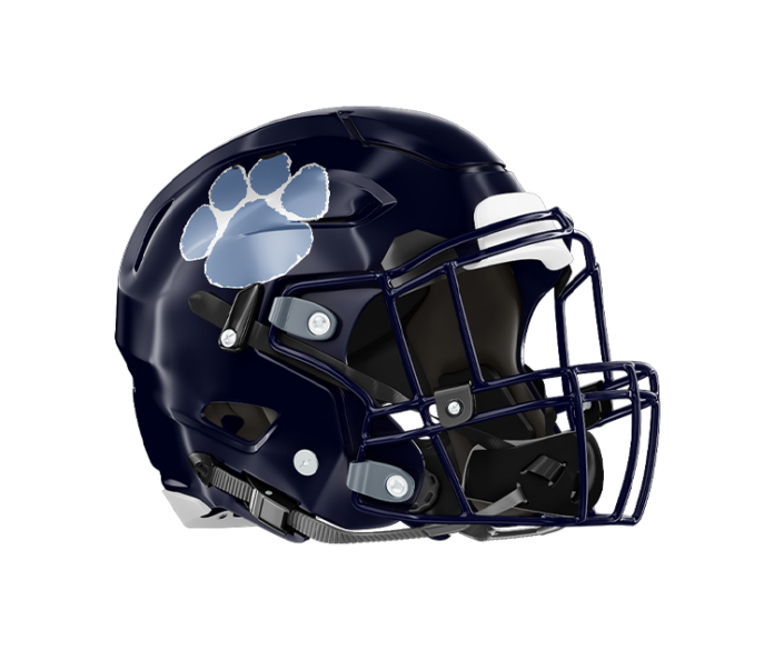 Camden County Wildcats 2024 Football Preview