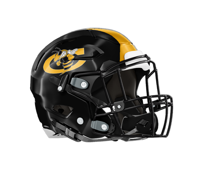 Cook Hornets 2024 Football Preview