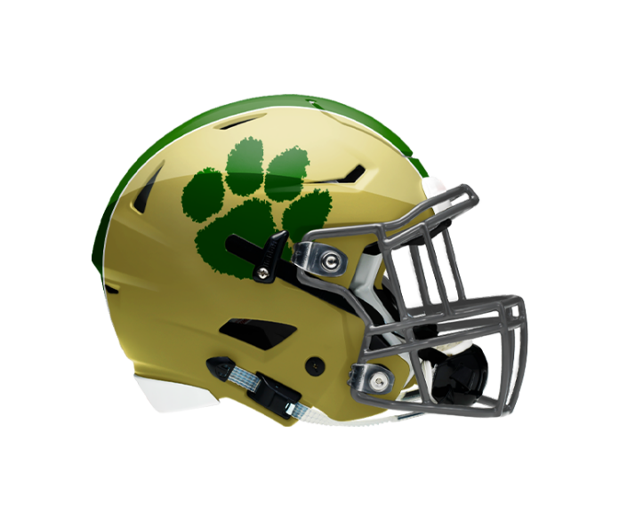 Nease Panthers 2024 Football Preview