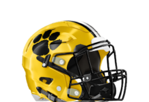 Valdosta Wildcats 2026 Football Preview Valdosta Wildcats 2026 Football Preview