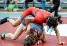2026 Georgia High School Girls Wrestling Rankings 2026 Georgia High School Girls Wrestling Rankings
