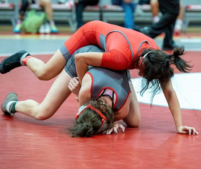 2026 Georgia  High School Girls Wrestling Rankings