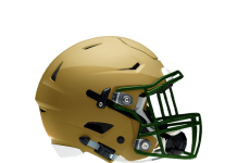 Fleming Island Golden Eagles 2026 Football Preview Fleming Island Golden Eagles 2026 Football Preview