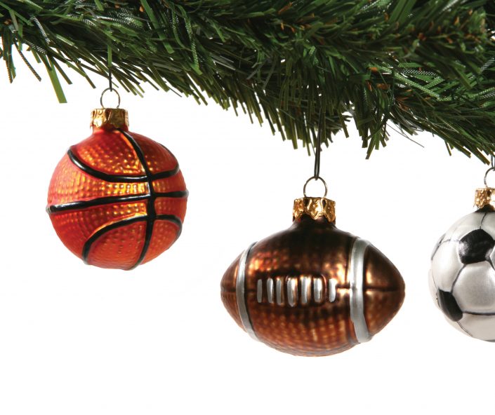 Holiday Sports web