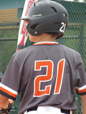 NF 0215 Tigers 01