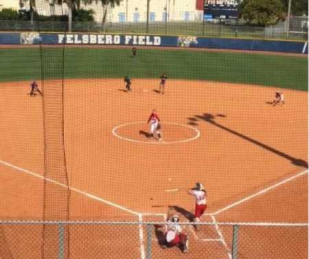 softball scholarships fscj fiu